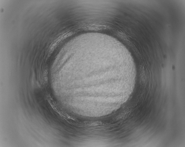 X0000052980683200507291552