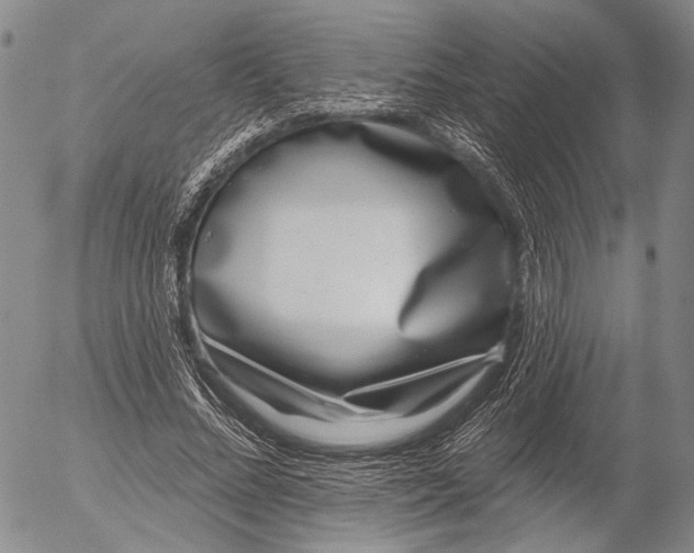 X0000052980684200507291552