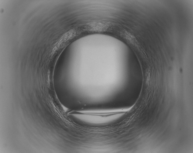 X0000052980685200507291552