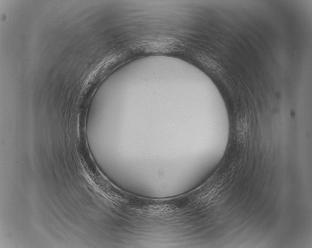 X0000052980686200507291552