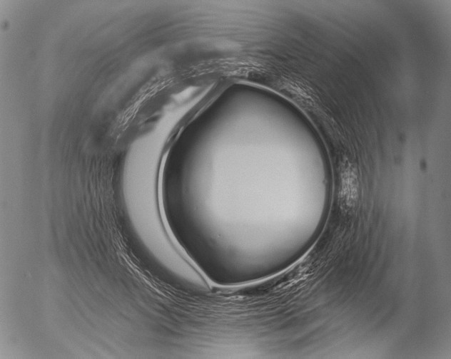 X0000052980687200507291552