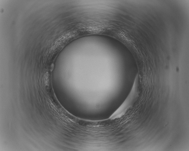 X0000052980689200507291552