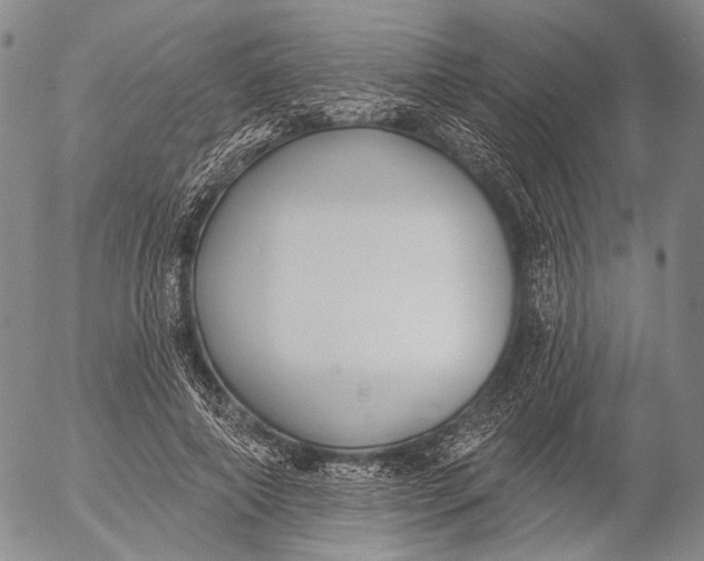 X0000052980690200507291552