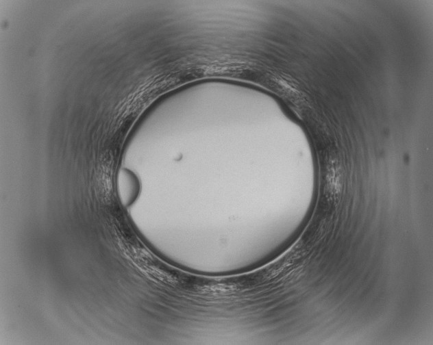 X0000052980691200507291552