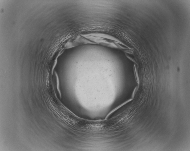 X0000052980692200507291552