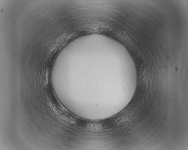 X0000052980694200507291552