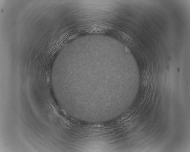 X0000052980695200507291552