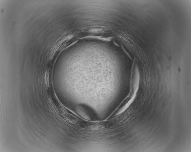 X0000052980696200507291552