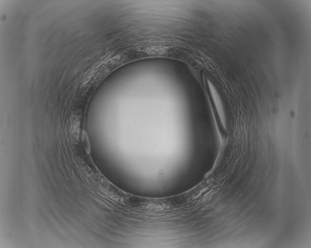 X0000052980697200507291552