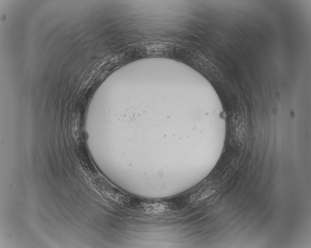 X0000052980698200507291552