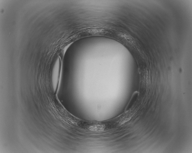 X0000052980700200507291552