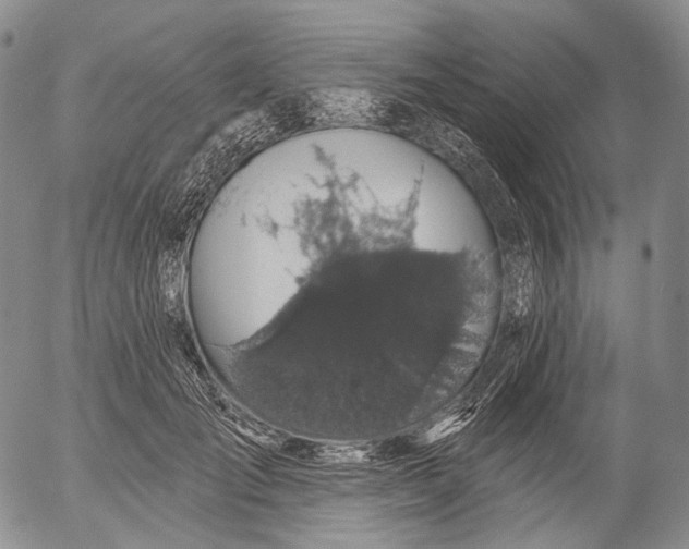 X0000052980701200507291552