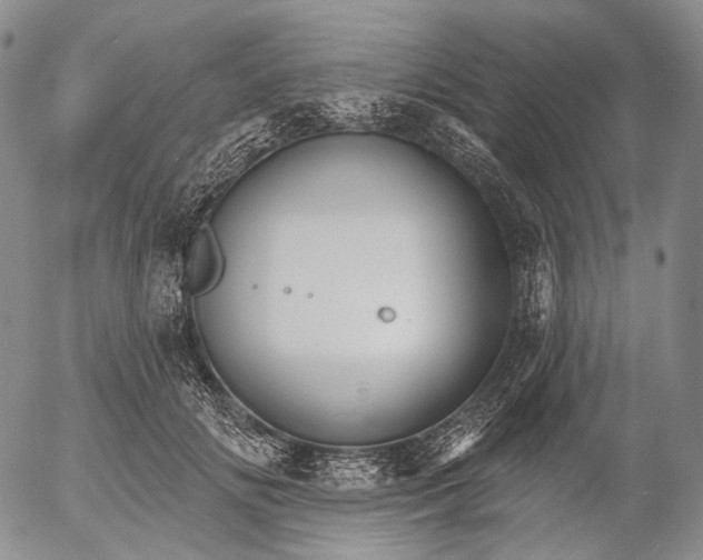 X0000052980702200507291552