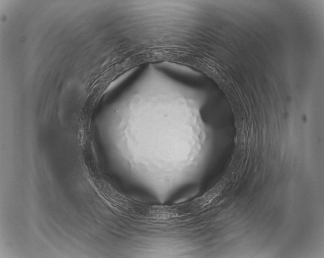 X0000052980703200507291552