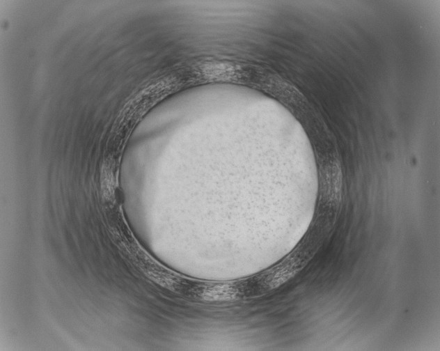 X0000052980705200507291552