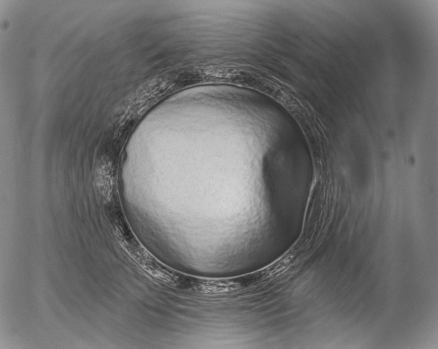 X0000052980707200507291552