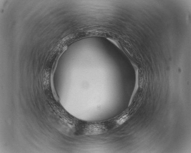 X0000052980708200507291552