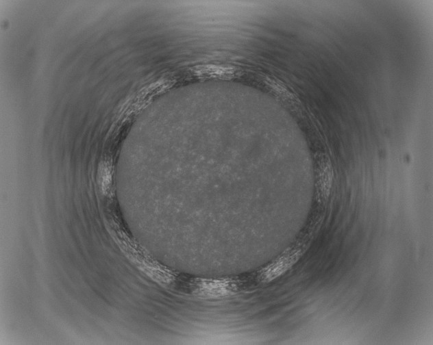 X0000052980709200507291552