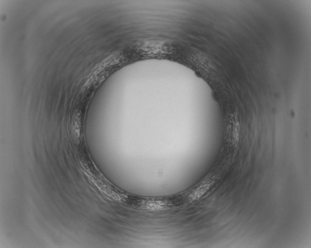 X0000052980710200507291552