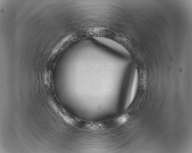 X0000052980712200507291552