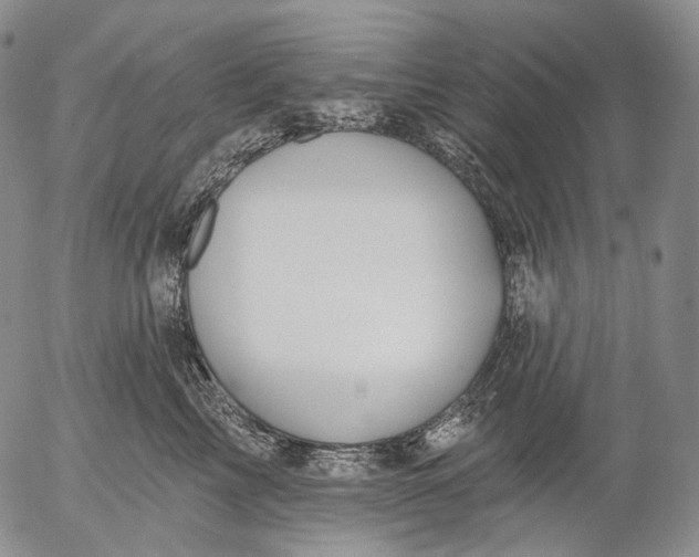 X0000052980713200507291551