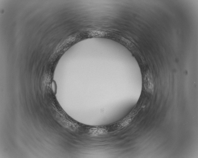 X0000052980714200507291551