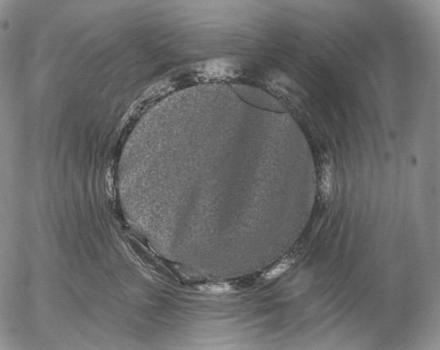 X0000052980715200507291551