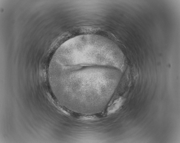 X0000052980716200507291551