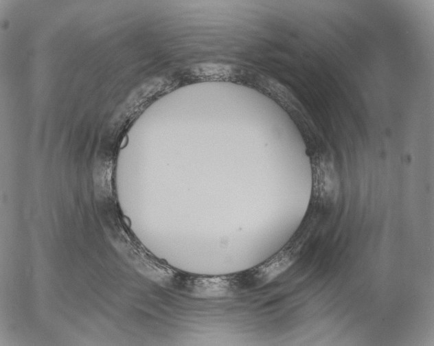 X0000052980717200507291551