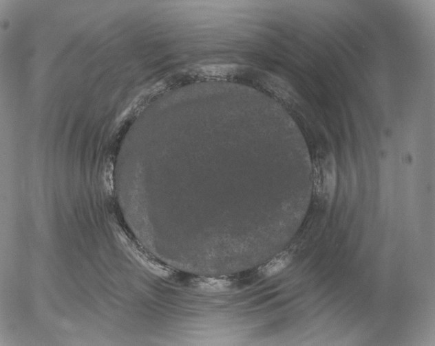 X0000052980718200507291551