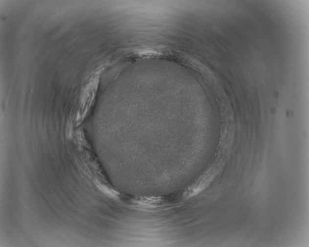 X0000052980720200507291551