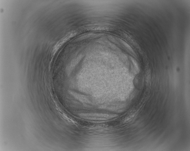 X0000052980721200507291551