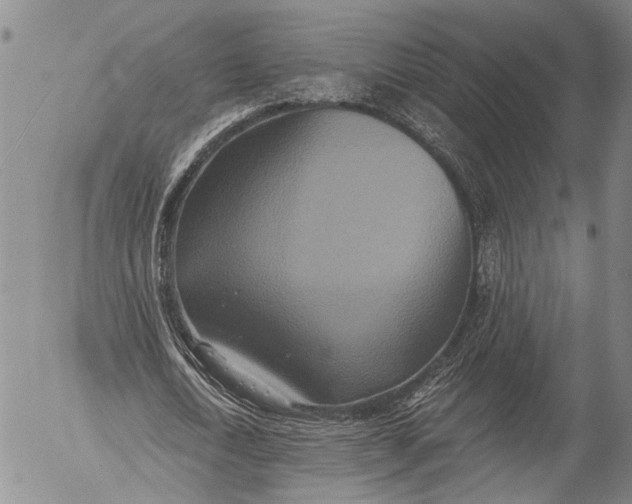 X0000052980722200507291551