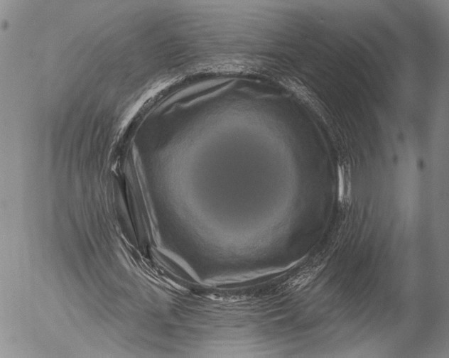 X0000052980723200507291551