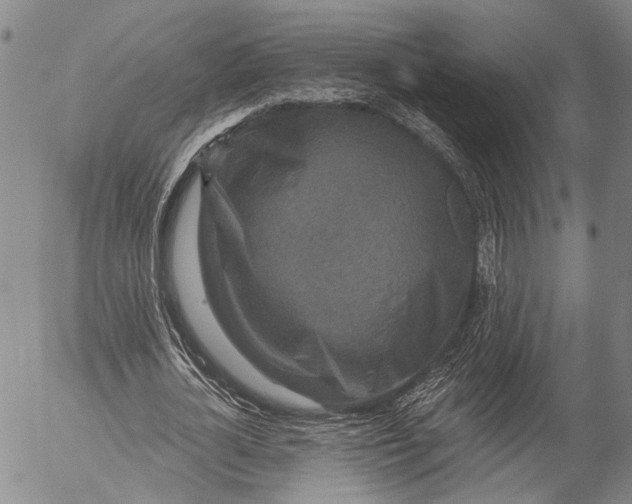 X0000052980724200507291551