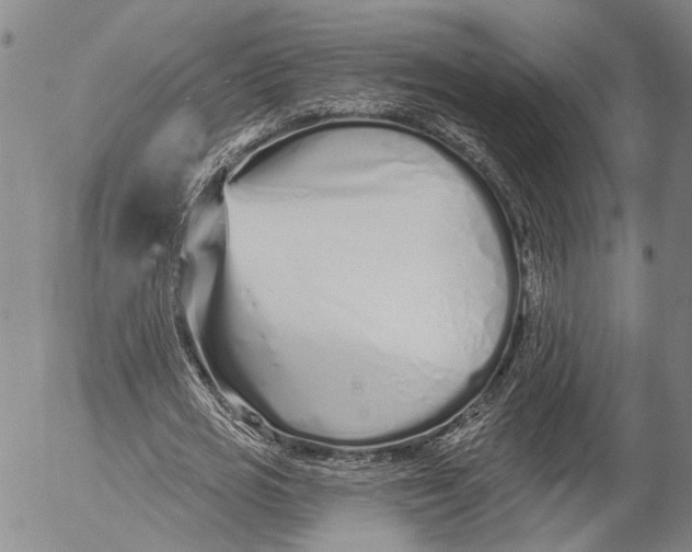 X0000052980725200507291551