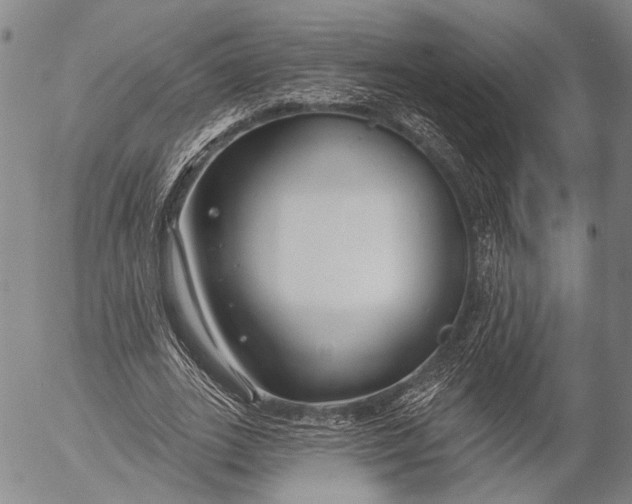 X0000052980727200507291551