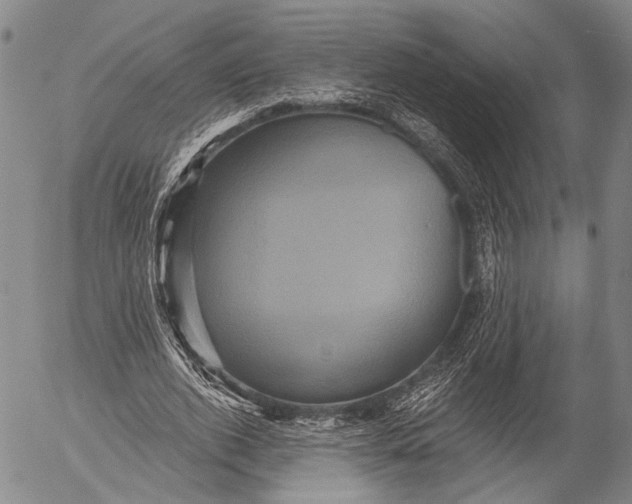 X0000052980728200507291551