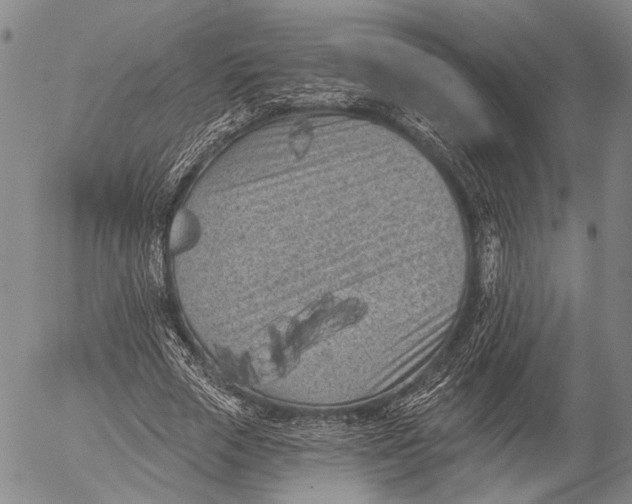 X0000052980729200507291551