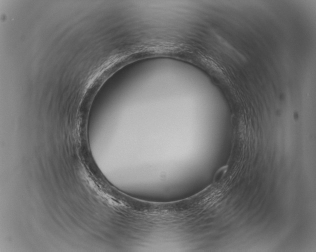 X0000052980730200507291551