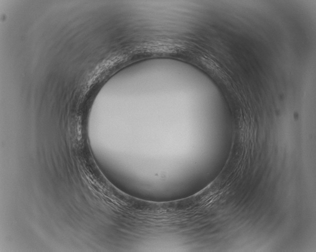 X0000052980731200507291551