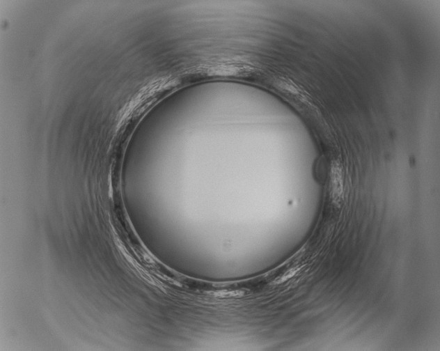 X0000052980734200507291551