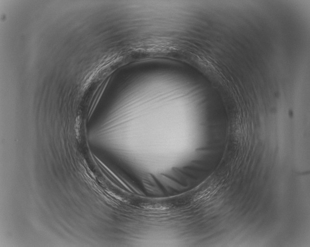 X0000052980735200507291551