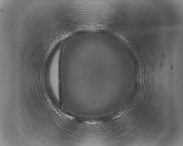 X0000052980736200507291551