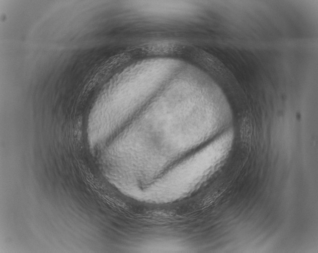 X0000052980737200507291551