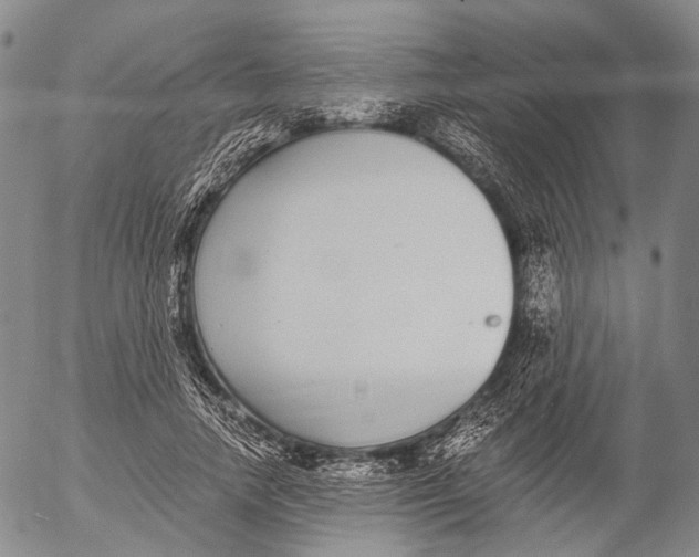 X0000052980738200507291551