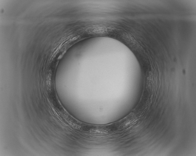 X0000052980739200507291551