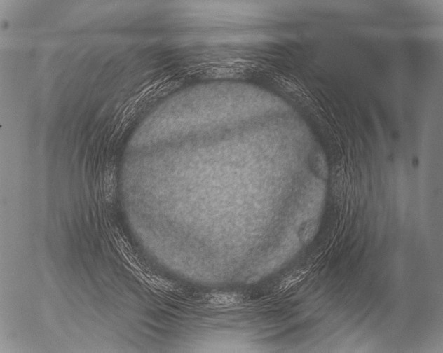 X0000052980741200507291551