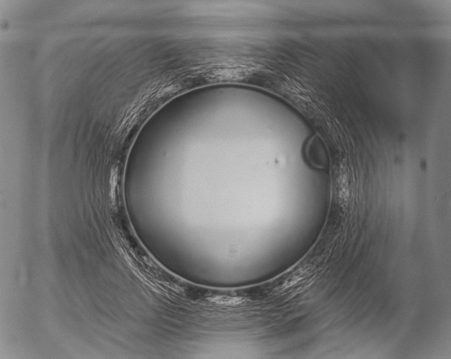 X0000052980742200507291551