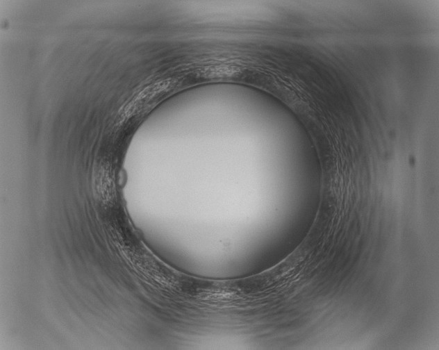 X0000052980743200507291551